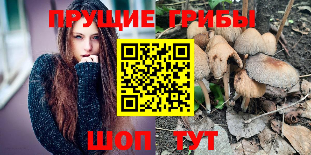 Псилоцибиновые грибы Psilocybe Тольятти