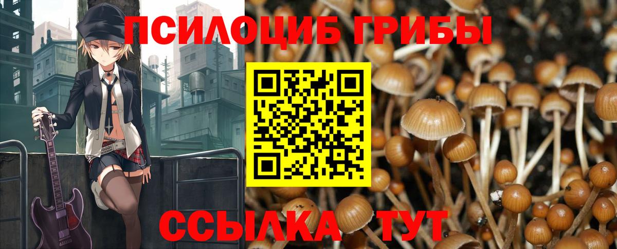 Псилоцибиновые грибы MAGIC MUSHROOMS  Вход с VPN  купить наркотики сайты  Тольятти 